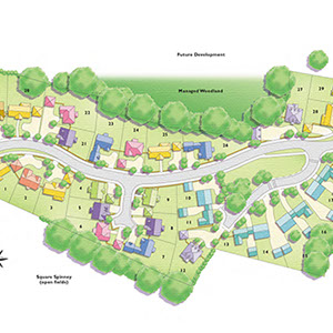 Watercolour style site plan